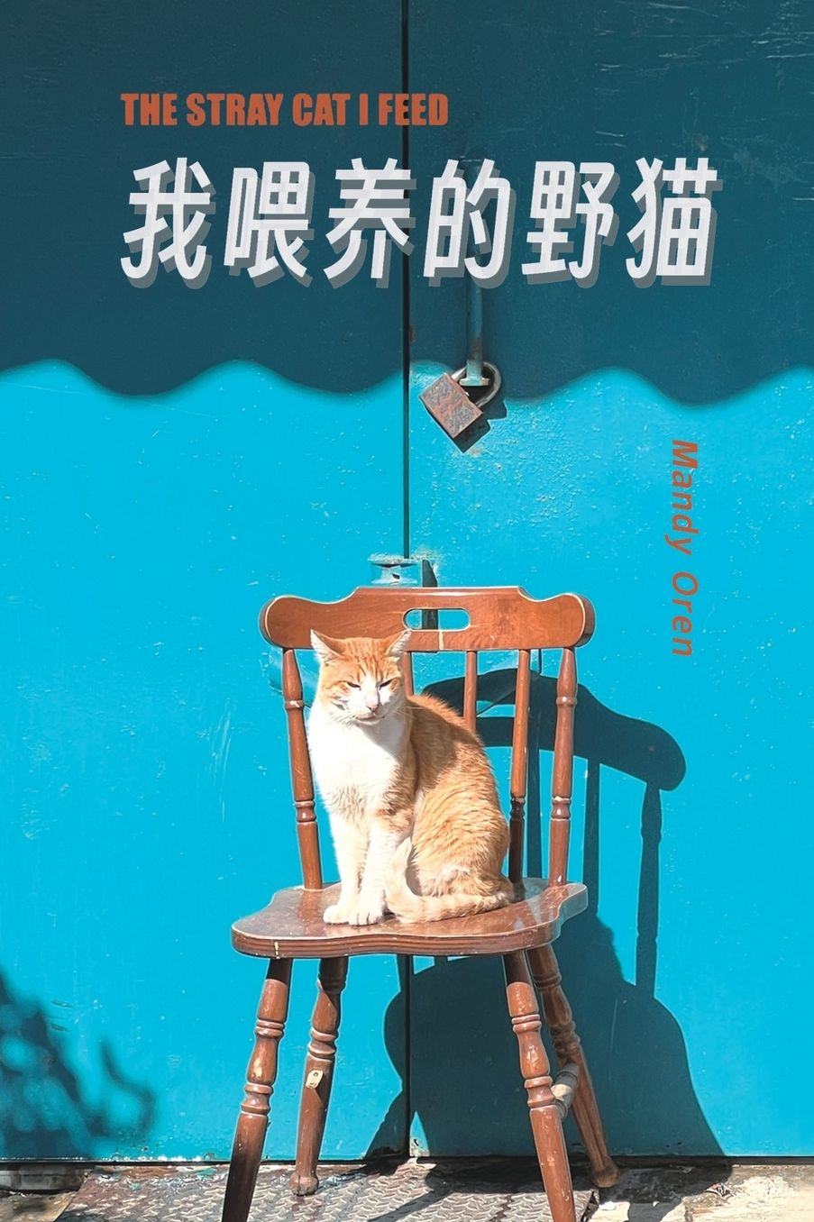 The Stray Cat I Feed book cover